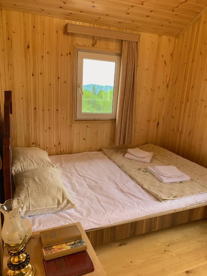 Hotel Okatsia Სასტუმრო Ოკაცია Gordi المظهر الخارجي الصورة